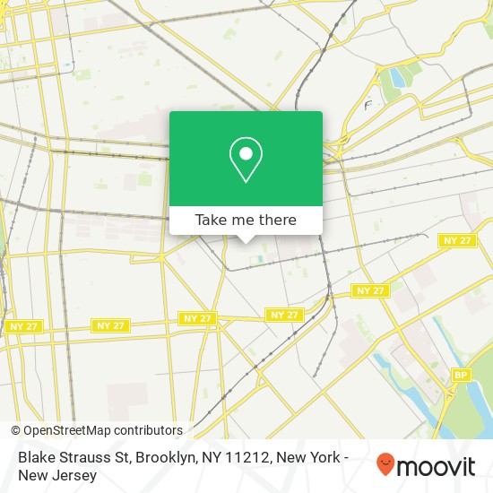 Blake Strauss St, Brooklyn, NY 11212 map