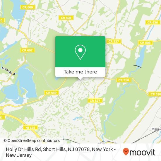 Holly Dr Hills Rd, Short Hills, NJ 07078 map