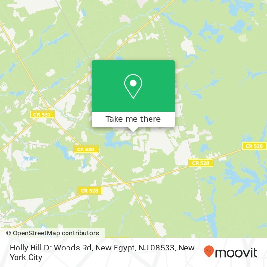 Mapa de Holly Hill Dr Woods Rd, New Egypt, NJ 08533