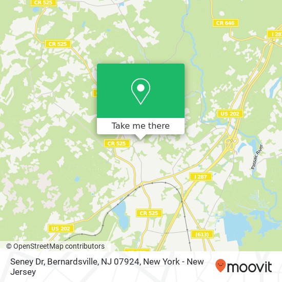 Mapa de Seney Dr, Bernardsville, NJ 07924