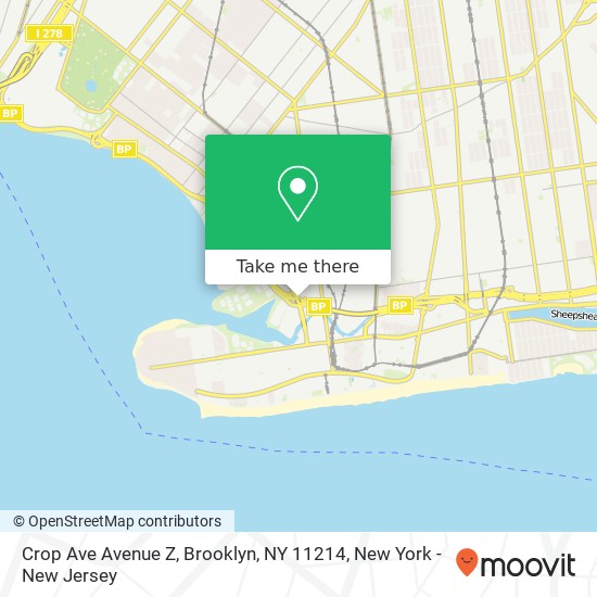 Crop Ave Avenue Z, Brooklyn, NY 11214 map