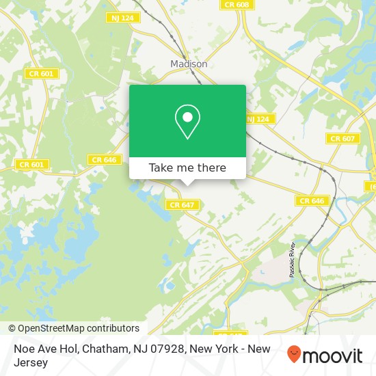 Mapa de Noe Ave Hol, Chatham, NJ 07928