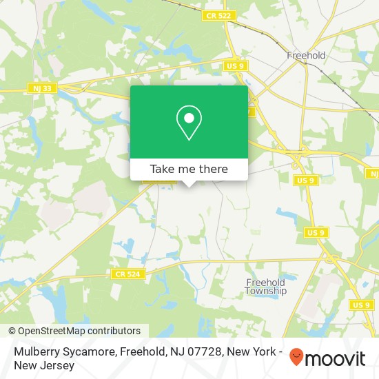 Mulberry Sycamore, Freehold, NJ 07728 map