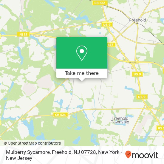 Mapa de Mulberry Sycamore, Freehold, NJ 07728