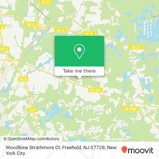 Mapa de Woodbine Strathmore Ct, Freehold, NJ 07728