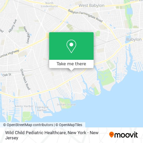 Wild Child Pediatric Healthcare map