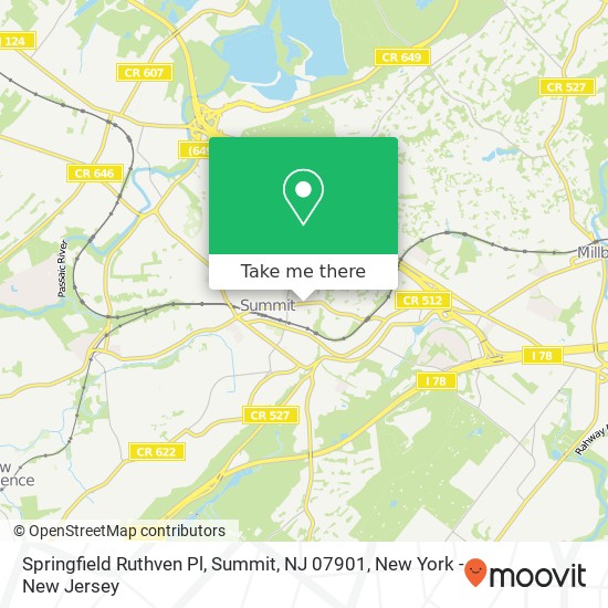 Springfield Ruthven Pl, Summit, NJ 07901 map