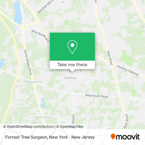 Forrest Tree Surgeon map