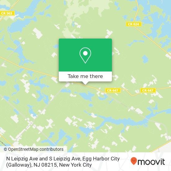 Mapa de N Leipzig Ave and S Leipzig Ave, Egg Harbor City (Galloway), NJ 08215