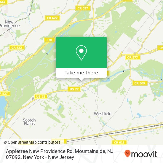 Appletree New Providence Rd, Mountainside, NJ 07092 map