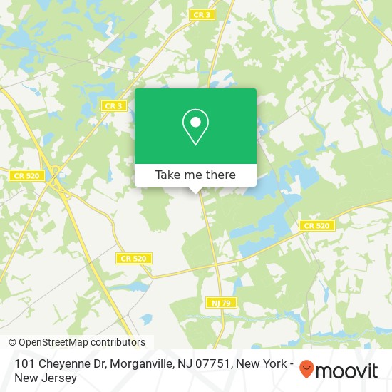 101 Cheyenne Dr, Morganville, NJ 07751 map