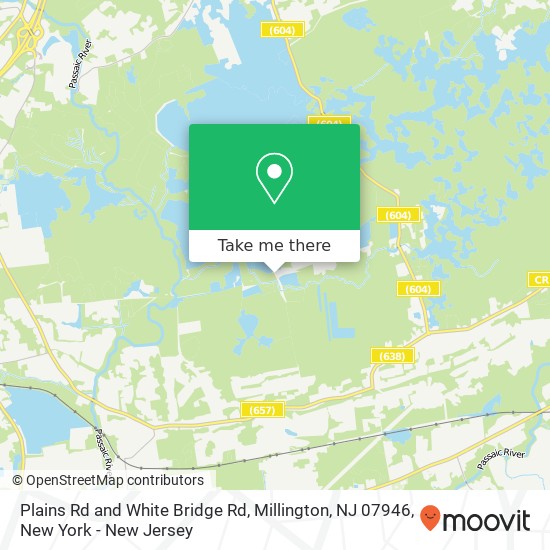 Mapa de Plains Rd and White Bridge Rd, Millington, NJ 07946
