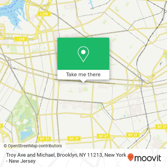 Troy Ave and Michael, Brooklyn, NY 11213 map