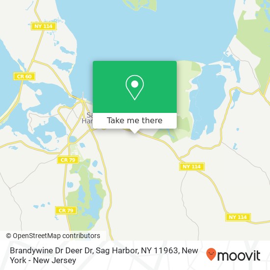 Mapa de Brandywine Dr Deer Dr, Sag Harbor, NY 11963