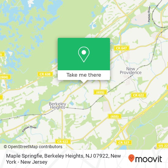 Mapa de Maple Springfie, Berkeley Heights, NJ 07922