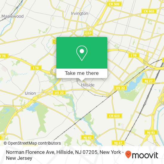 Mapa de Norman Florence Ave, Hillside, NJ 07205