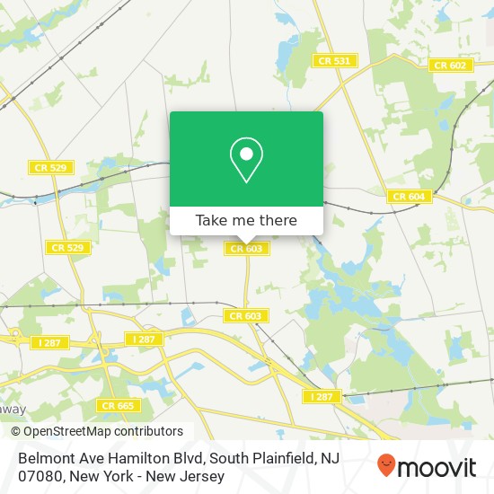 Mapa de Belmont Ave Hamilton Blvd, South Plainfield, NJ 07080
