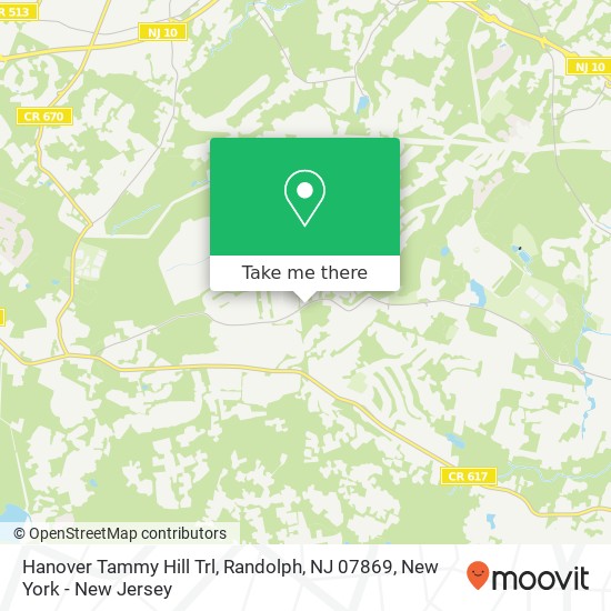 Mapa de Hanover Tammy Hill Trl, Randolph, NJ 07869
