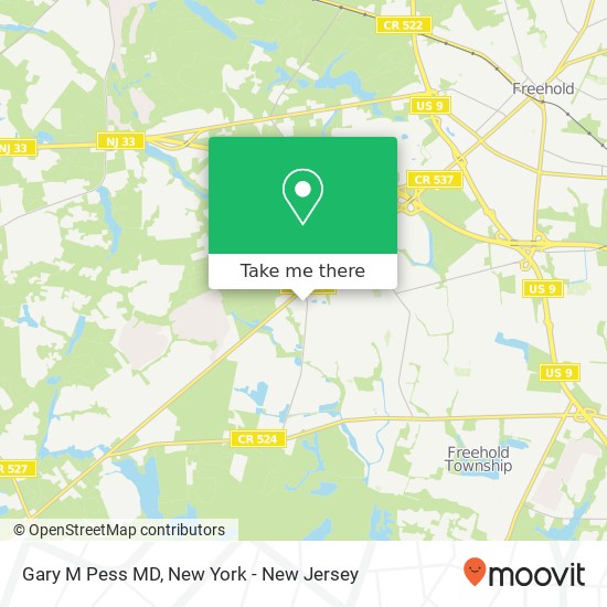 Gary M Pess MD map