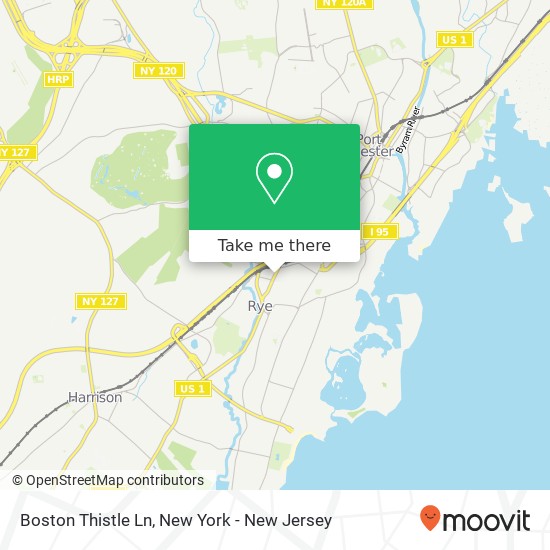 Boston Thistle Ln map