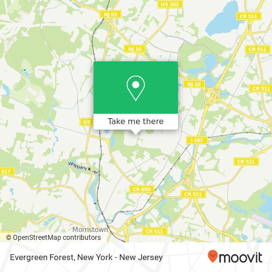 Evergreen Forest map