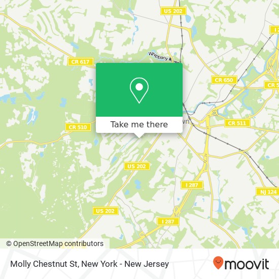Mapa de Molly Chestnut St