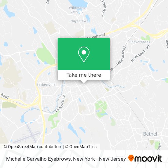 Michelle Carvalho Eyebrows map