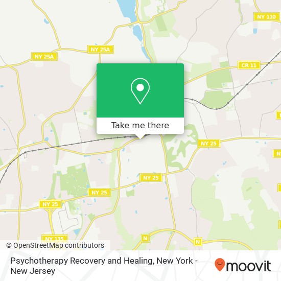 Psychotherapy Recovery and Healing map