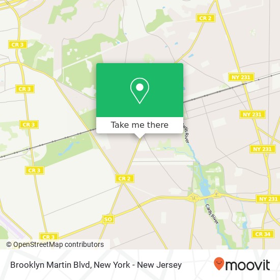 Brooklyn Martin Blvd map