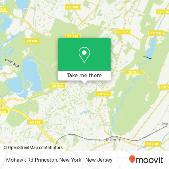 Mapa de Mohawk Rd Princeton