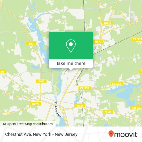 Chestnut Ave map