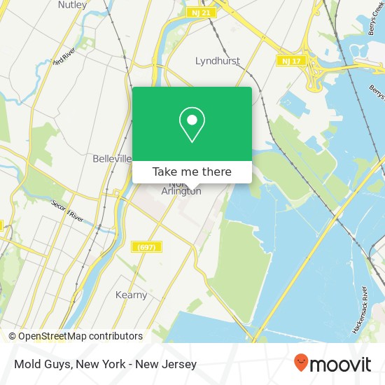 Mold Guys map