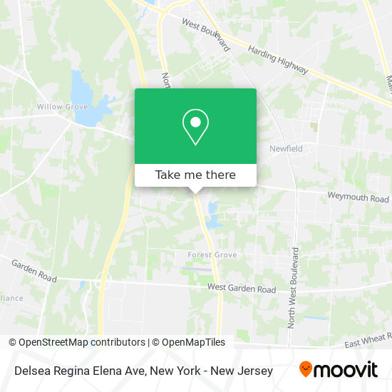 Delsea Regina Elena Ave map