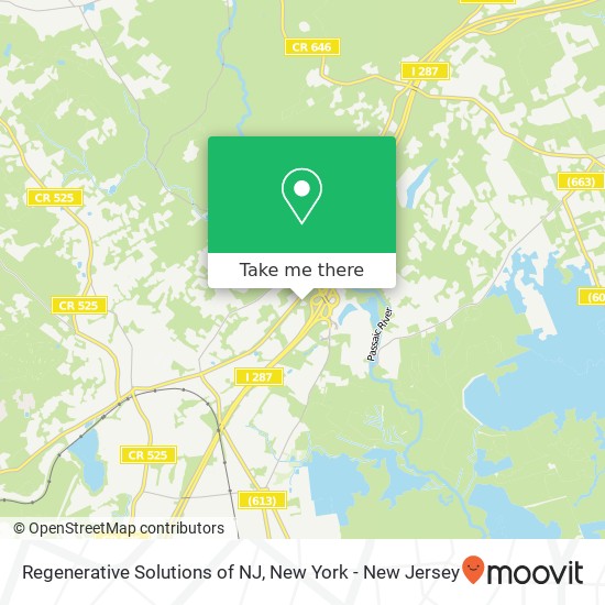 Mapa de Regenerative Solutions of NJ