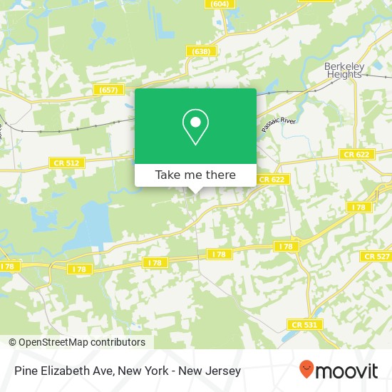 Pine Elizabeth Ave map