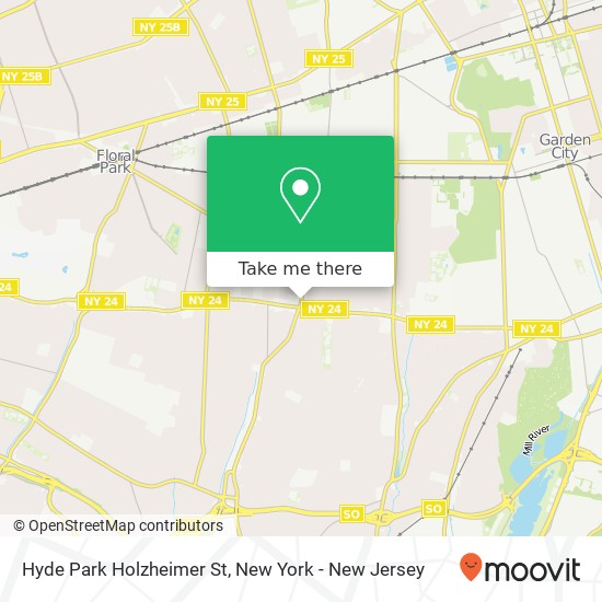 Hyde Park Holzheimer St map
