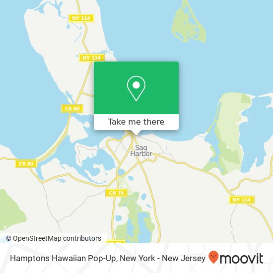Hamptons Hawaiian Pop-Up map