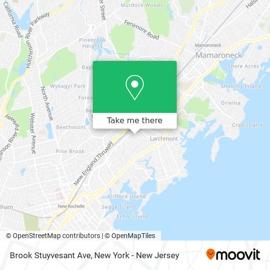 Mapa de Brook Stuyvesant Ave