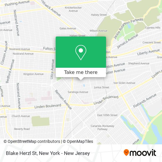 Blake Herzl St map