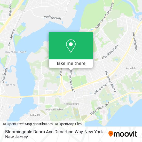 Mapa de Bloomingdale Debra Ann Dimartino Way