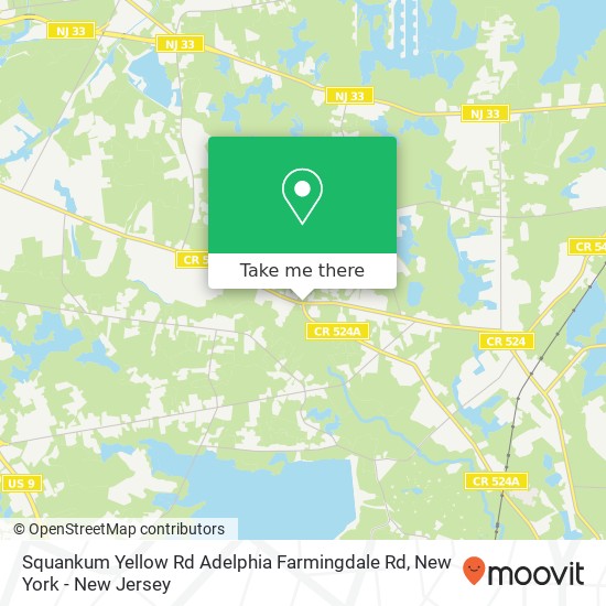 Squankum Yellow Rd Adelphia Farmingdale Rd, Farmingdale, NJ 07727 map