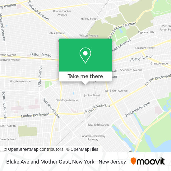 Blake Ave and Mother Gast map