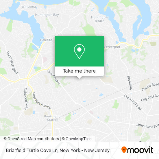 Mapa de Briarfield Turtle Cove Ln