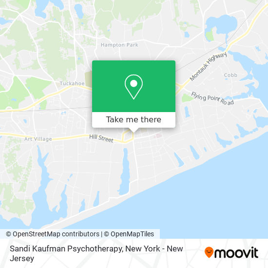 Sandi Kaufman Psychotherapy map