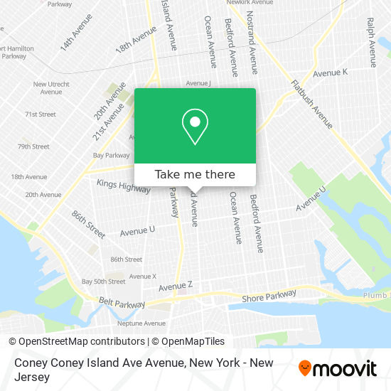 Mapa de Coney Coney Island Ave Avenue