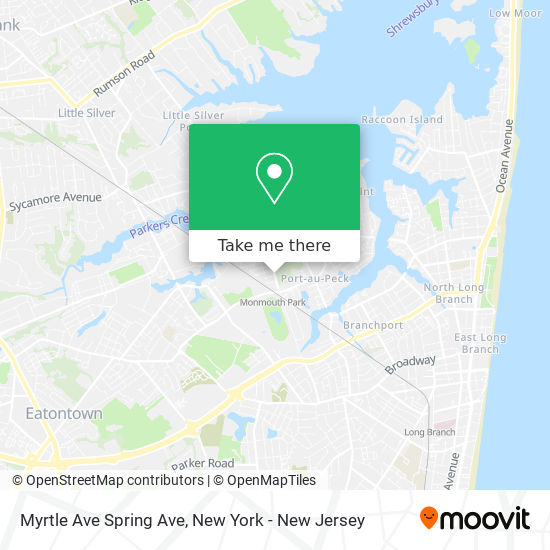 Myrtle Ave Spring Ave map