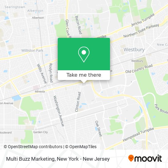 Multi Buzz Marketing map