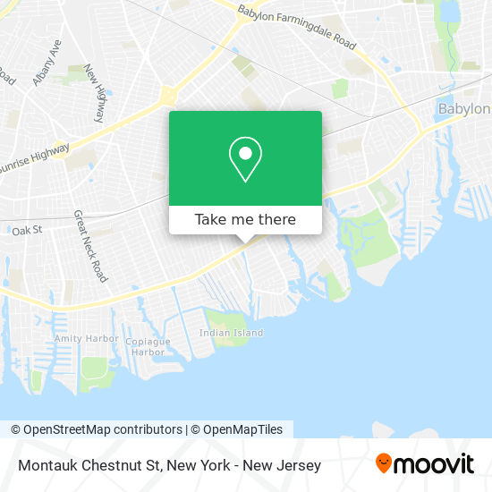 Mapa de Montauk Chestnut St