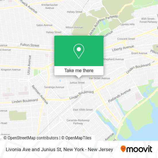 Livonia Ave and Junius St map