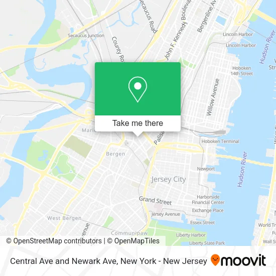 Central Ave and Newark Ave map